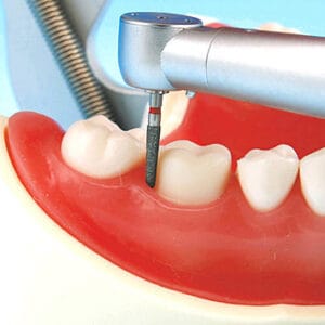 Tipodonto de Maxilar Prostésico de Restauración (32 dientes)-Capacitación Dental Integral - Imagen 3