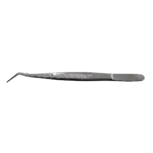 Pinza Algodonera Rite-Dent
