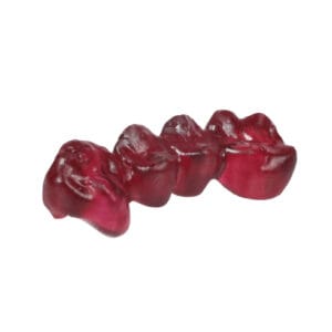 Portux 3D Cast – Resina Calcinable para Impresiones Dentales de Alta Precisión - Imagen 2